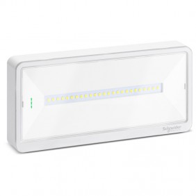 Schneider EXW LIGHT 110 SE/SA IP65 Notfall-Wandleuchte OVA44011
