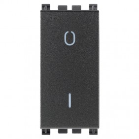 Vimar Arke 2P lighted switch 16A grey 19015