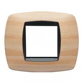 Plaque Master Modo 2 modules couleur cendre...