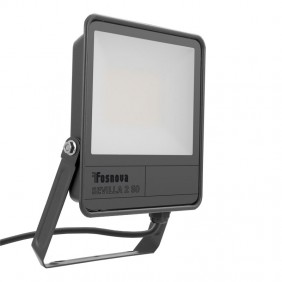 Projecteur LED Fosnova Disano 50W 4000K 5500...