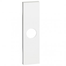 Bticino Living Now cover for TV socket and...