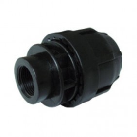 Nupi Straight Threaded Fitting Female D 20 mm...