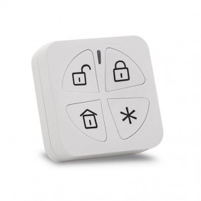 Risco Panda 4 Button Rolling Code Remote...