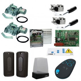 Kit Came Frosch Flügeltor unterirdisch max...