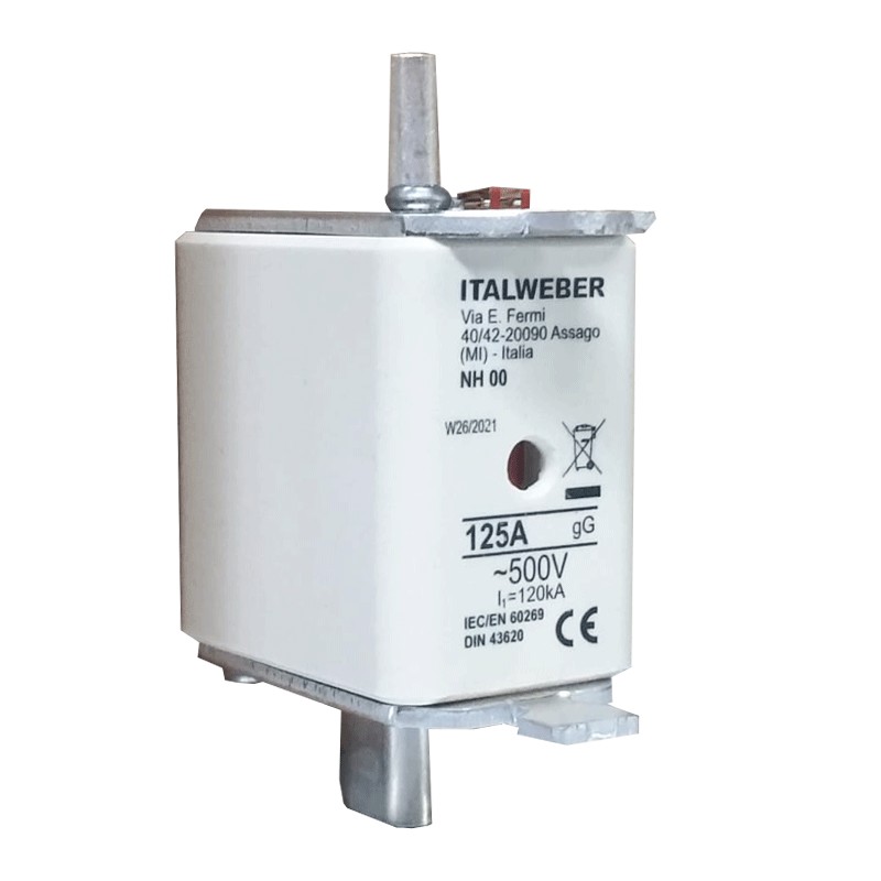 Italweber NH 00 Sicherung Kurve gG 125A 500V