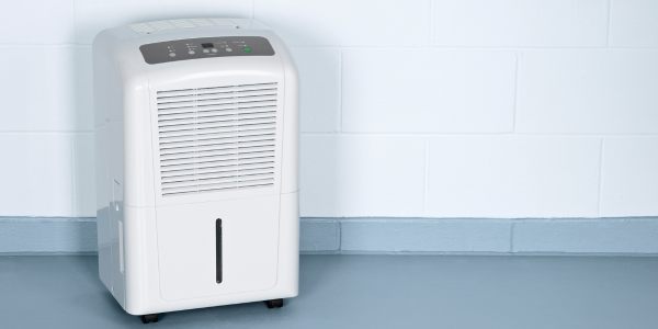 Dehumidifier portable
