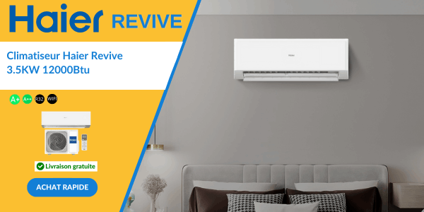 Haier Revive 12000